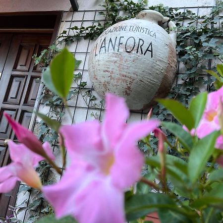 דירות טרני L' Anfora Locazione Turistica מראה חיצוני תמונה